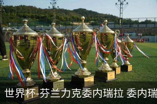 世界杯-芬兰力克委内瑞拉 委内瑞拉0胜5负告别